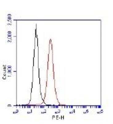 Flow Cytometry of Jurkat Cells Stained with Conjugated 53BP1 Antibody